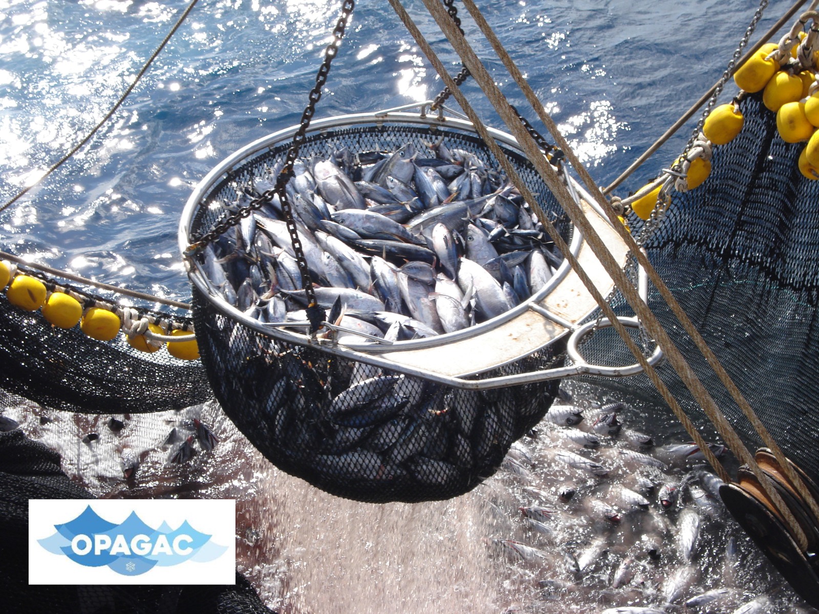 TRAINING IN GOOD PRACTICES IN TUNA FISHING